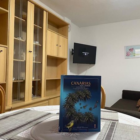 Appartement Apartamento Los Cristianos à Los Cristianos  Extérieur photo